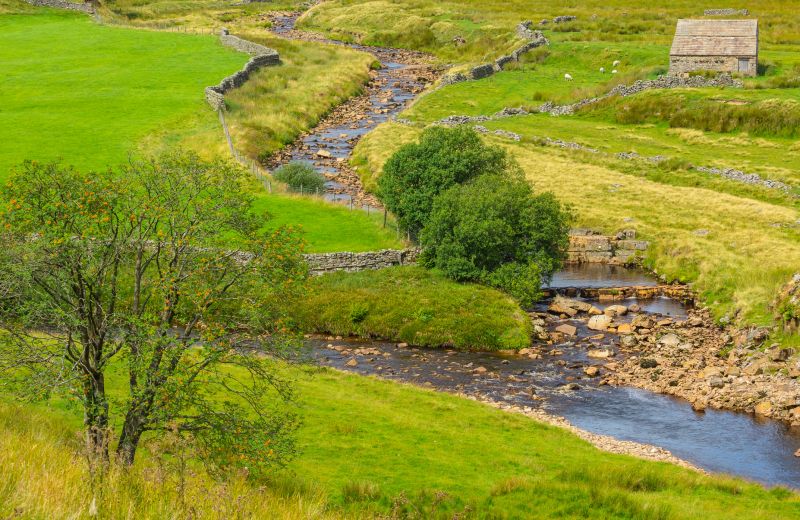 Swale Drainage Service