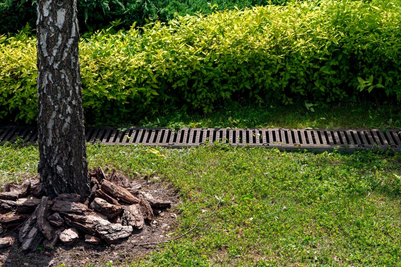 Yard Drain Installation in Tuscaloosa, AL